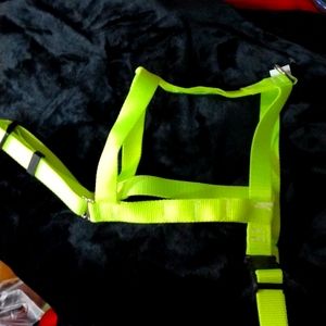 Neon yellow dog or cat harness.